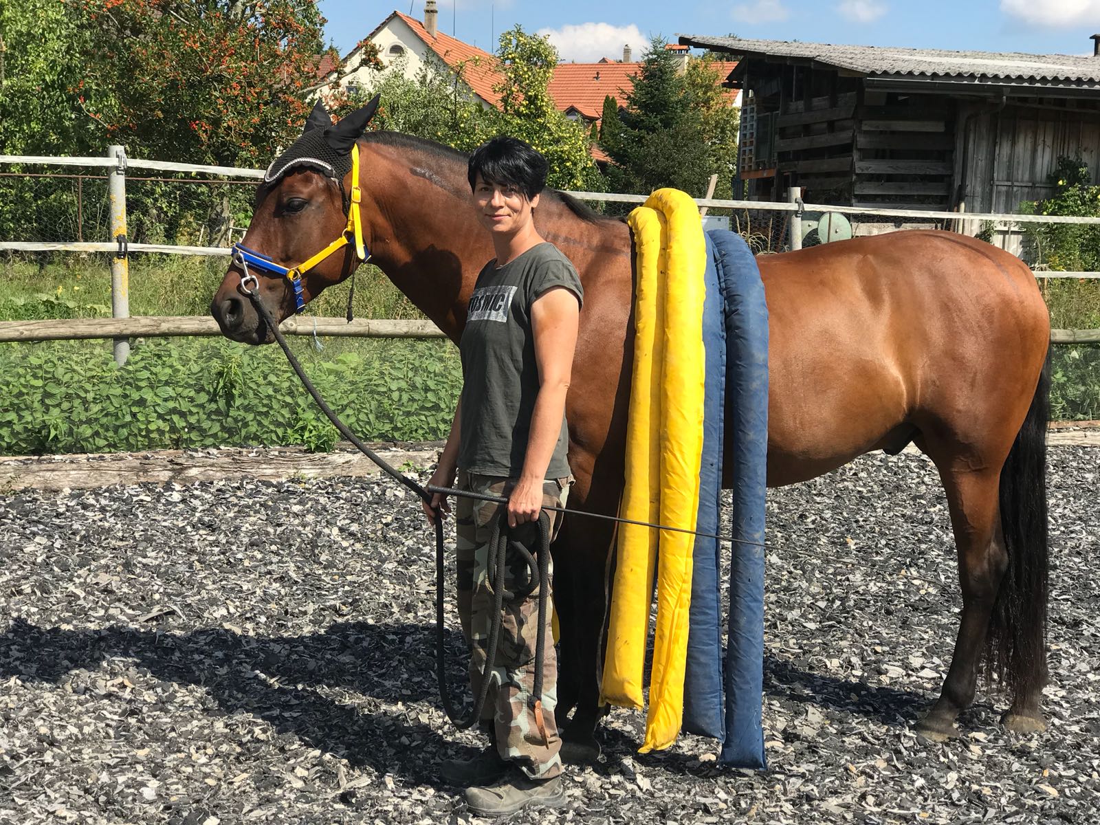 Equikinetic-Muskelaufbautraining